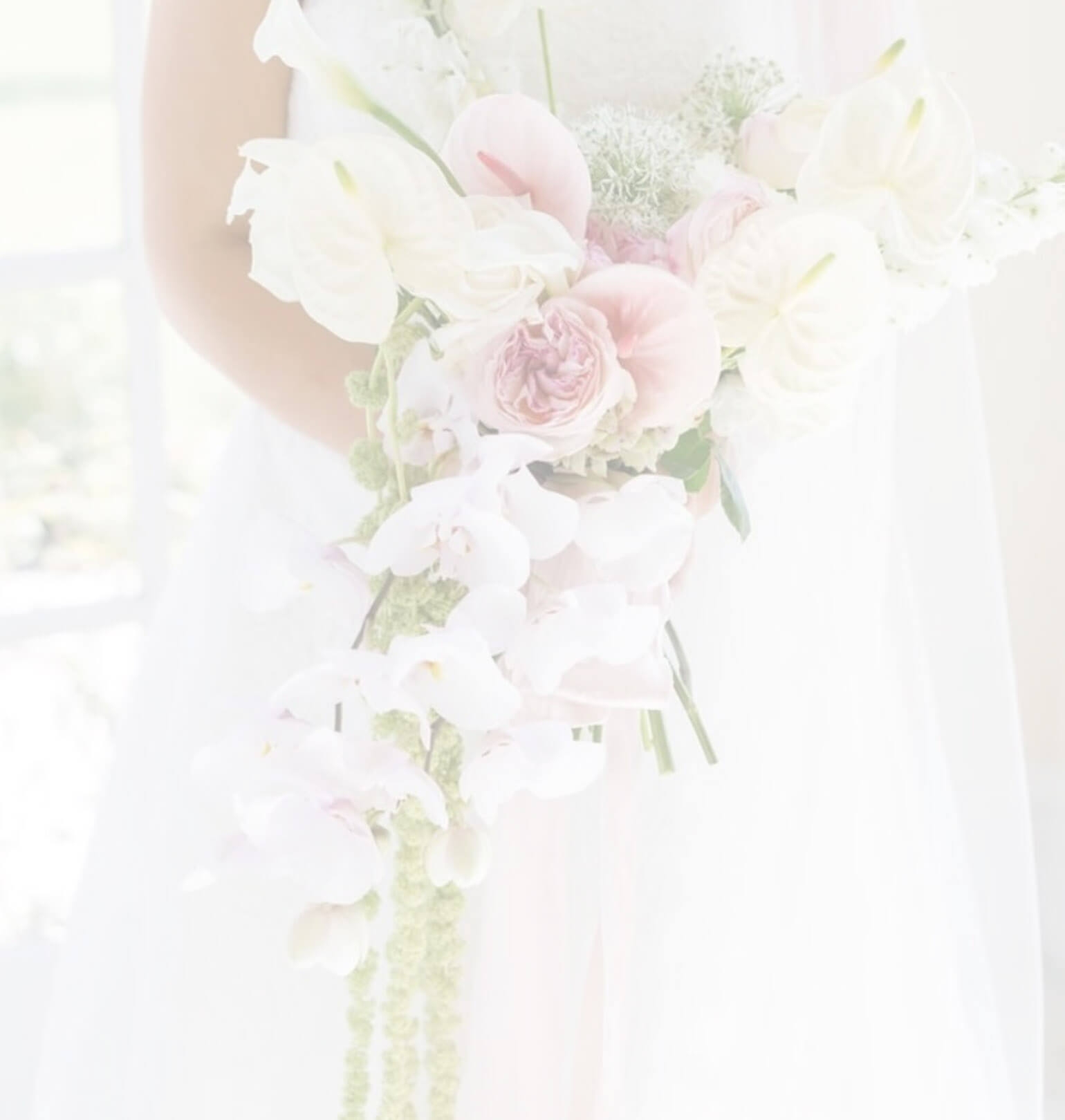 Section background image